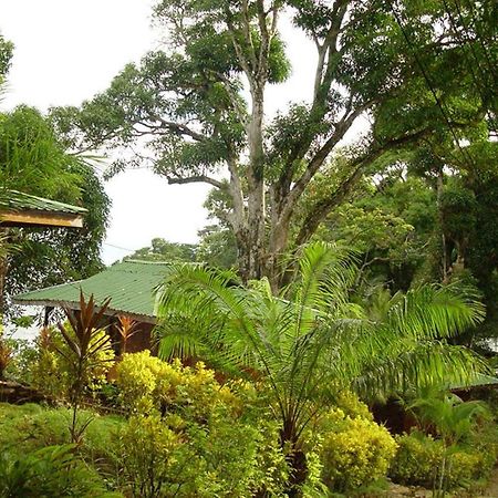 Cabinas La Parcela Villa Dominical Eksteriør bilde